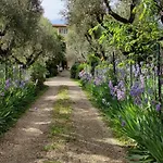 Agli Ippocastani Apartment Perugia